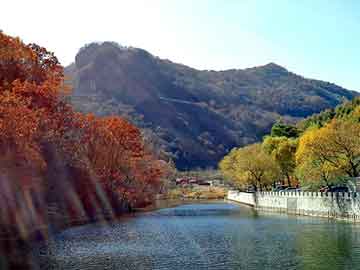 管家婆100期期中管家或管家婆100期期中管家，警惕虚假诱导危害-痛点释义、专家解析解释与落实